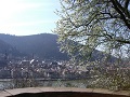 Heidelberger Altstadt